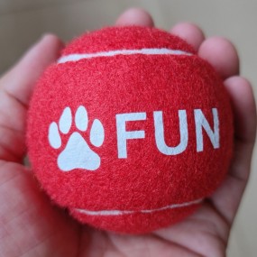 Design tennisbolde med eget logo – nem bestilling onlin...