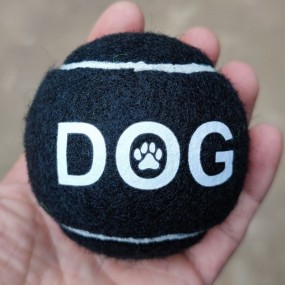 Bestil tennisbolde med logo online